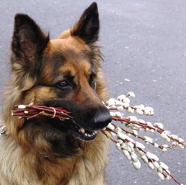 Wiosna przyjdzie w sobotę