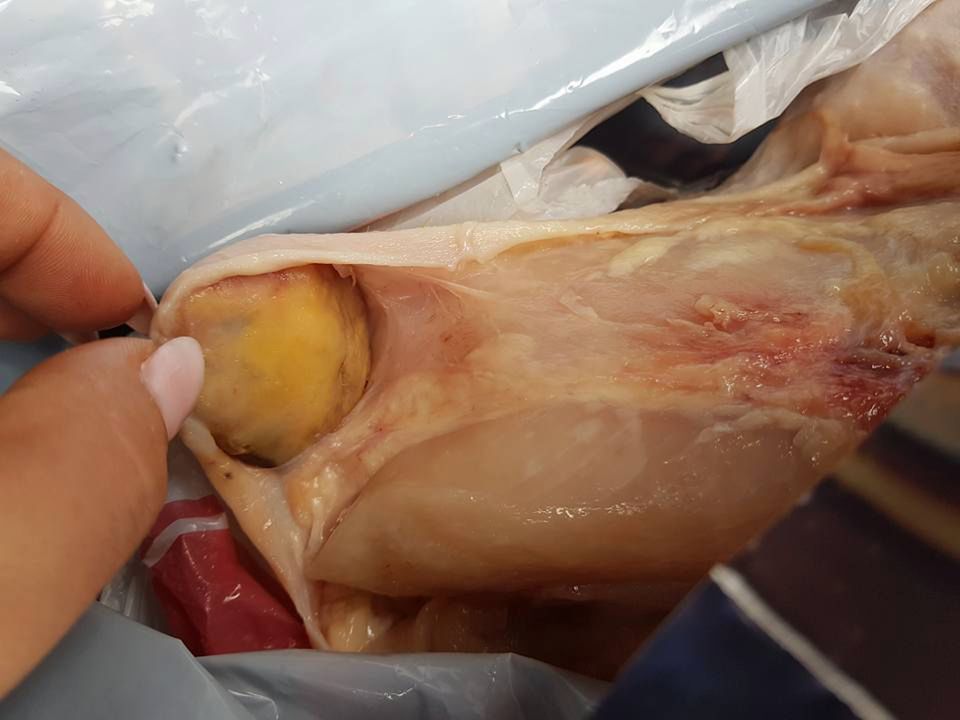 Klientkę zszokował widok zakupionej kury 