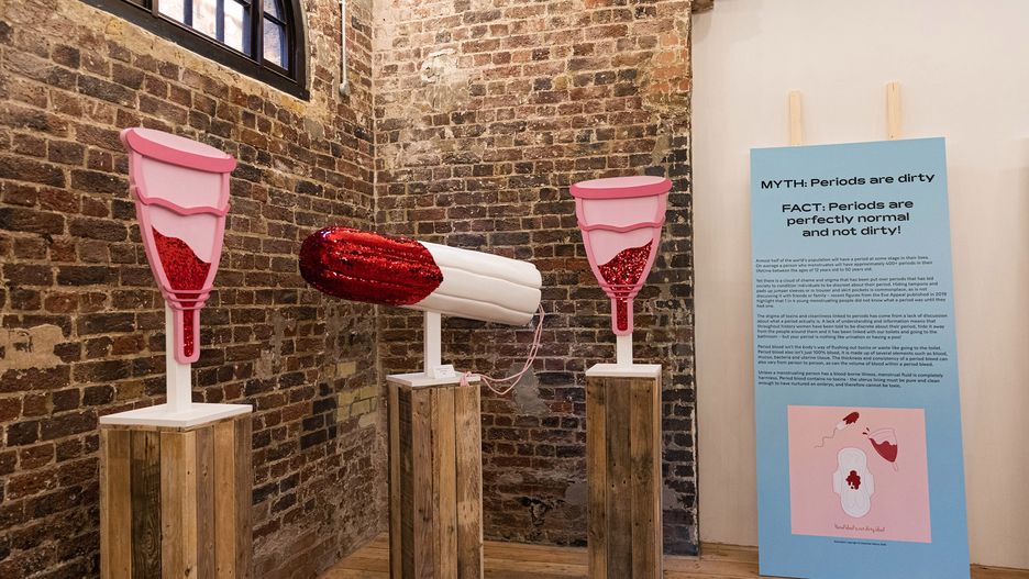 Na zdjęciu eksponaty przedstawiające kubeczki menstruacyjne oraz zakrwawiony tampon