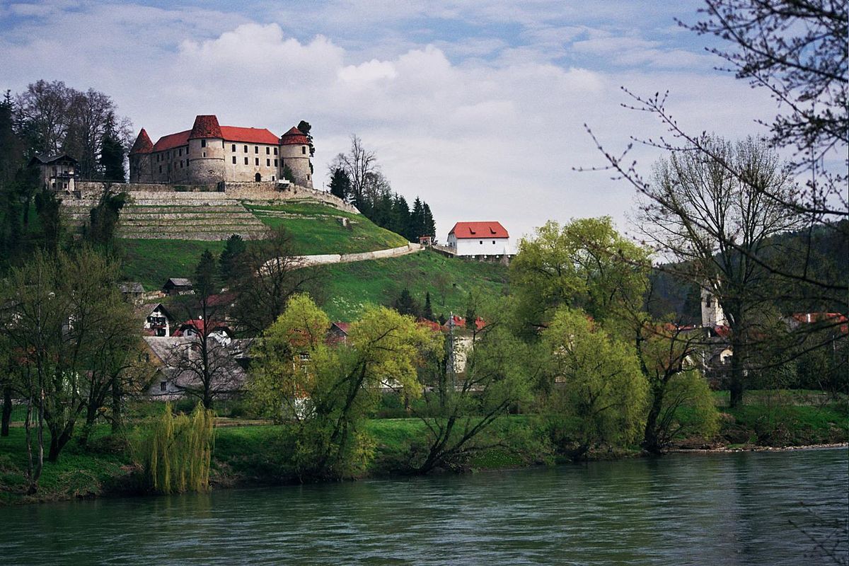 Obraz