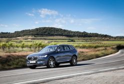 W duchu hygge: pierwsza jazda nowym Volvo XC60 - zdjęcia