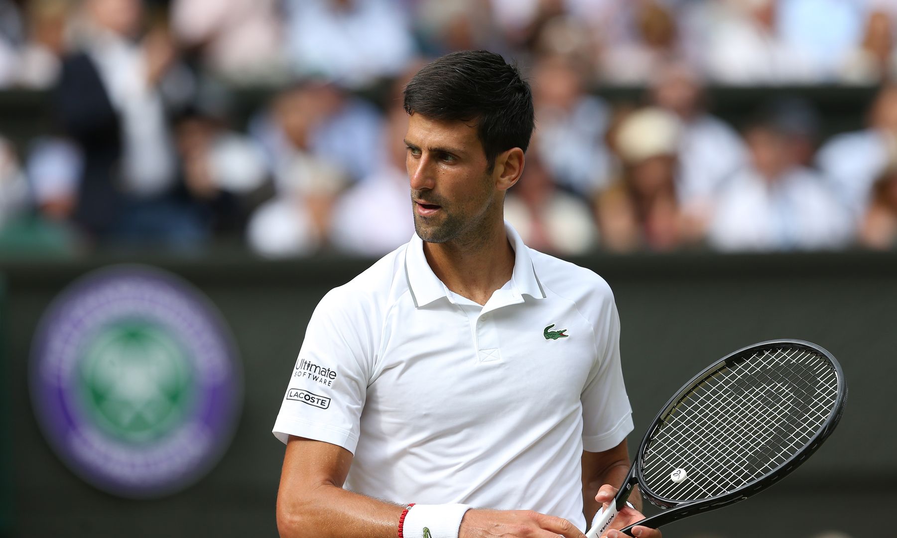 Na zdjęciu: Novak Djokovic