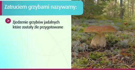 Jakimi grzybami można się zatruć?