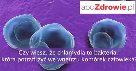 Fakty o zdrowiu - Chlamydia