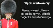 Czym jest węzeł wartowniczy?