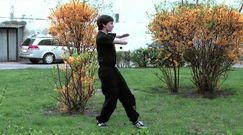 Wing Tsun Kung Fu