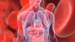 Co wpływa na glikemię?