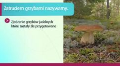 Jakimi grzybami można się zatruć?