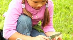 Wskazówki dla grzybiarzy