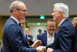 Brexit. Irlandia przygotowana na twardy brexit. "Będzie to duży szok dla naszej gospodarki"