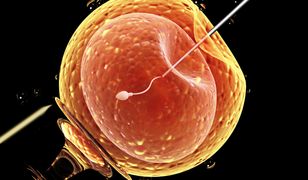 Bydgoszcz dołoży do in vitro dla bezpłodnych par