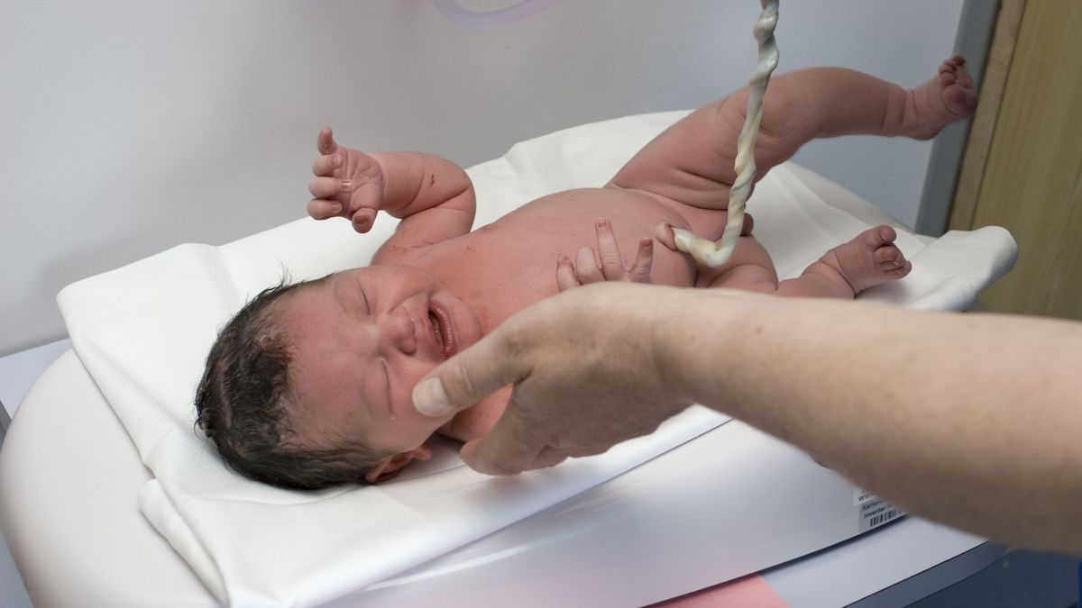Dla niektórych par in vitro to jedyna możliwość posiadania potomstwa