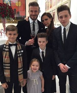 Chloë Moretz znów spotyka się z synem Beckhamów! Zobaczcie zdjęcia