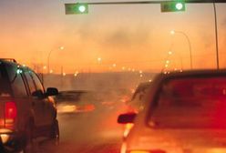 Czy opłaca się pracować za kółkiem?