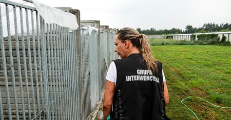 Interwencja w schronisku na Leszkowie