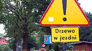 Zwierzyniec - miasto cudów