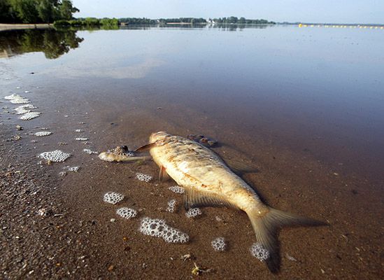 Co płynie z kranów w Warszawie? Na pewno nie woda