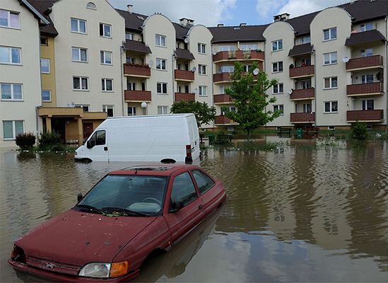 "Jeśli Tusk ich nie pogoni, skończy jak Cimoszewicz"