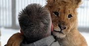 Przyjaciel lew