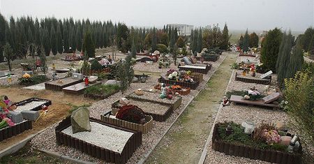 Kremacja i pochówek na cmentarzu - tak może spocząć pies