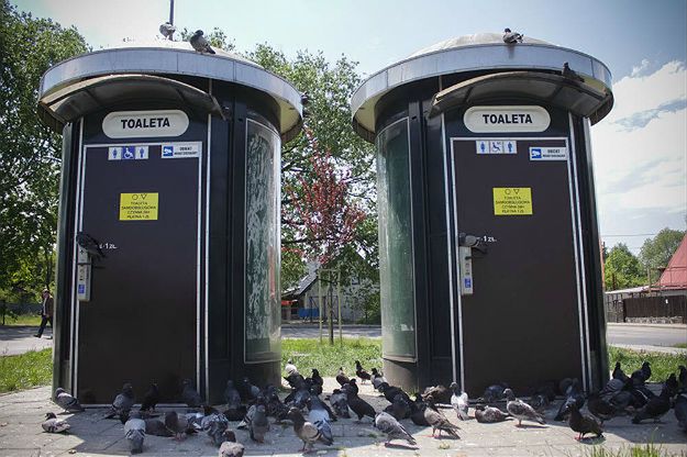 Co dalej z toaletami w centrum Krakowa? Turyści skarżą się na brak szaletów