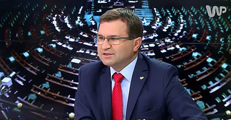 Girzyński w "WP rozmowie": delfiny źle kończą, nie tylko w PiS