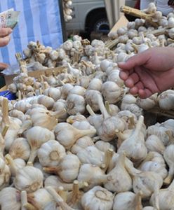 Rolnicy będą mogli dorobić?