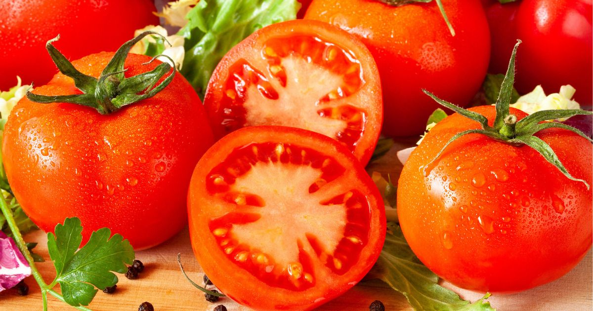 Pomidory - Pyszności; Foto Canva.com