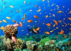 Marsa Alam - raj dla miłośników sportów wodnych