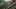 Macie ochotę na RollerCoaster Tycoon? Planet Coaster zaprasza