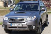 Leśnik elegant - Subaru Forester