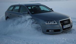 Mistrz przyczepności