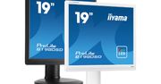Nowy 19-calowy monitor iiyama