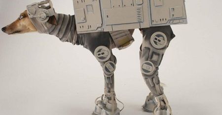 Przebrał psa za robota z "Gwiezdnych wojen"