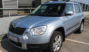 Yeti na długim dystansie