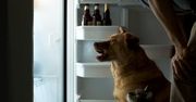 10 sposobów, jak nie umrzeć z głodu będąc kawalerem