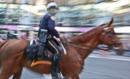 Policjanci nie będą sprzątać po służbowych psach i koniach