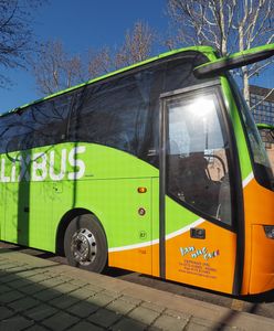 FlixBus sprzedaje bilety za niecałą złotówkę. "Oferta na 120 miast"