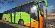 FlixBus sprzedaje bilety za niecałą złotówkę. "Oferta na 120 miast"