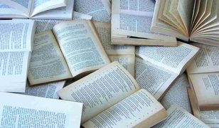 20 najlepszych książek 2012 roku - obcojęzyczna literatura piękna