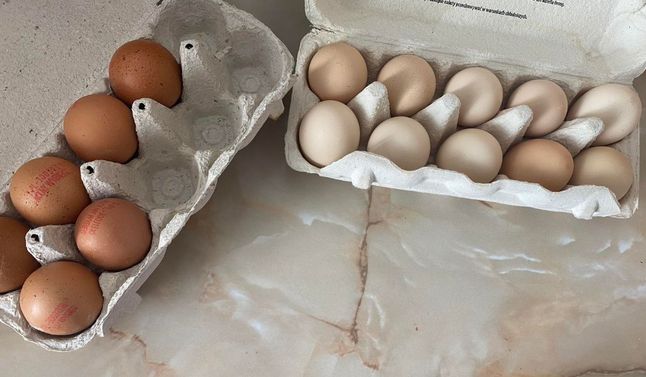 Jajka mają różne kolory skorupek (Fot. Redakcja)
