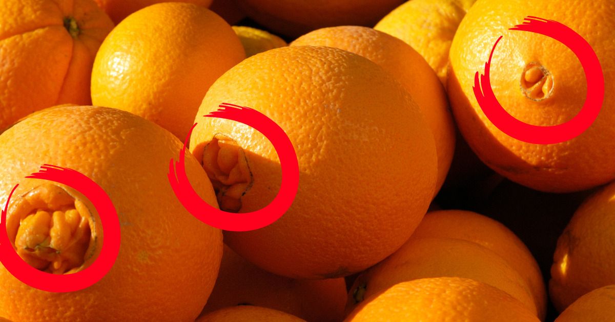 Jak wybrać słodką pomarańczę - Pyszności; foto: Canva