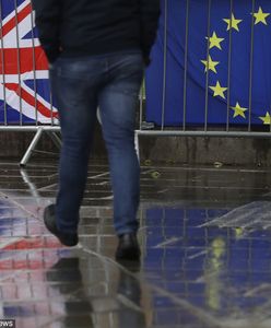 Twardy brexit prawdopodobnym scenariuszem? "Czas gra na jego korzyść"