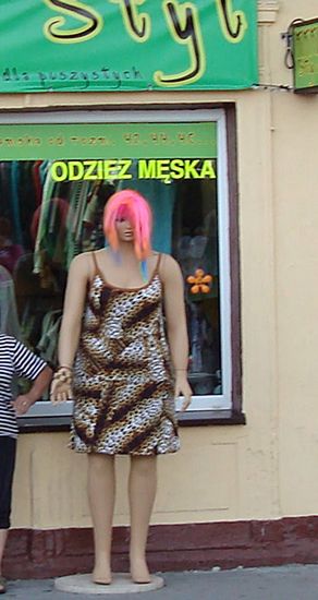 Obraz