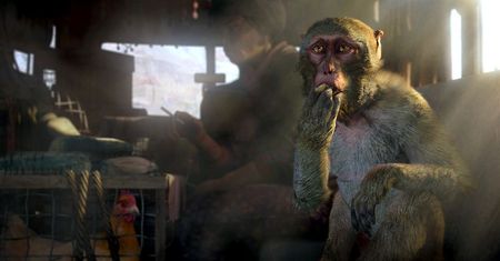 Konkrety na temat tego, jak zagrać ze znajomymi w Far Cry 4 bez posiadania gry