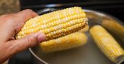 Oto jak ugotować kukurydzę w kolbie. Takiej nie jadłeś nawet nad Bałtykiem