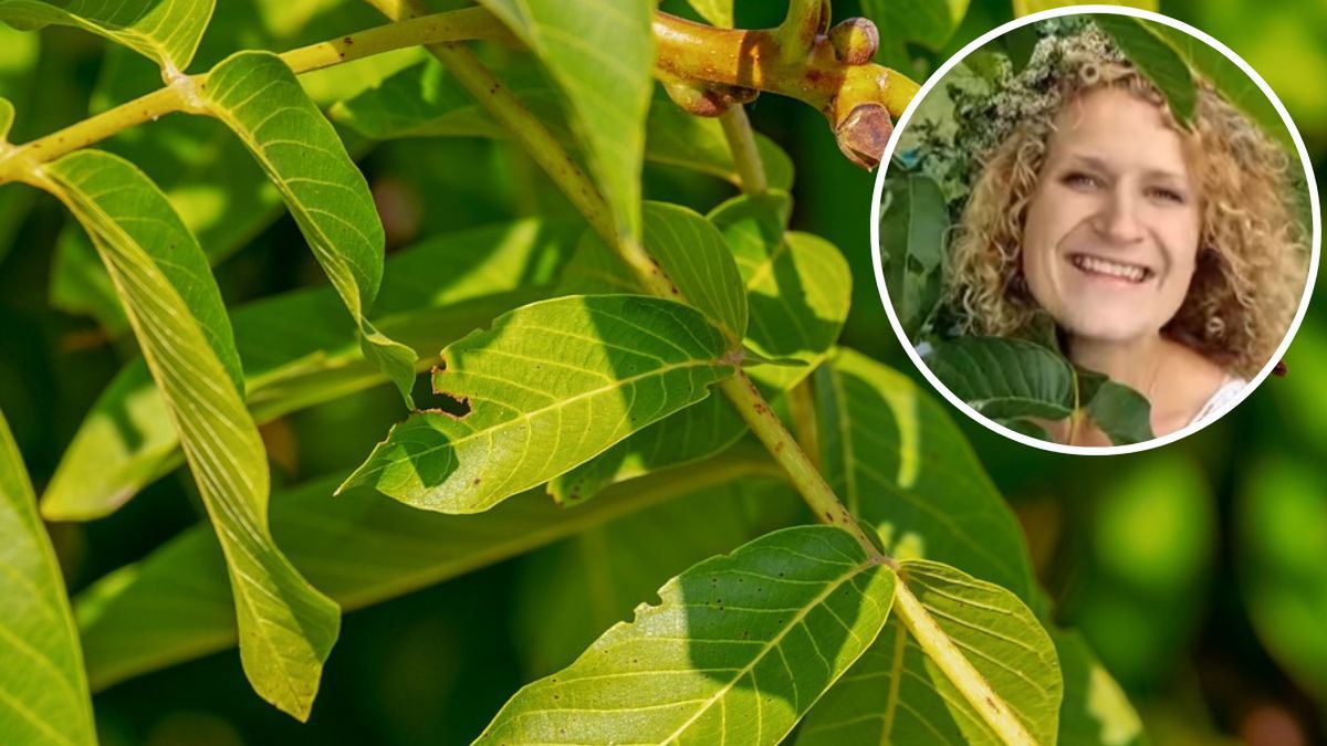 Czujesz ciągłe zmęczenie albo masz wypryski? Fot. Pixabay, Facebook/Zielony Zagonek