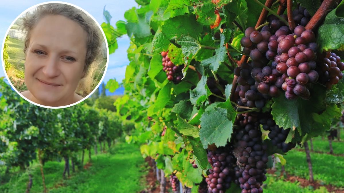 Wino, które jest eliksirem młodości. Fot. Pixabay, Facebook/Zielony Zagonek