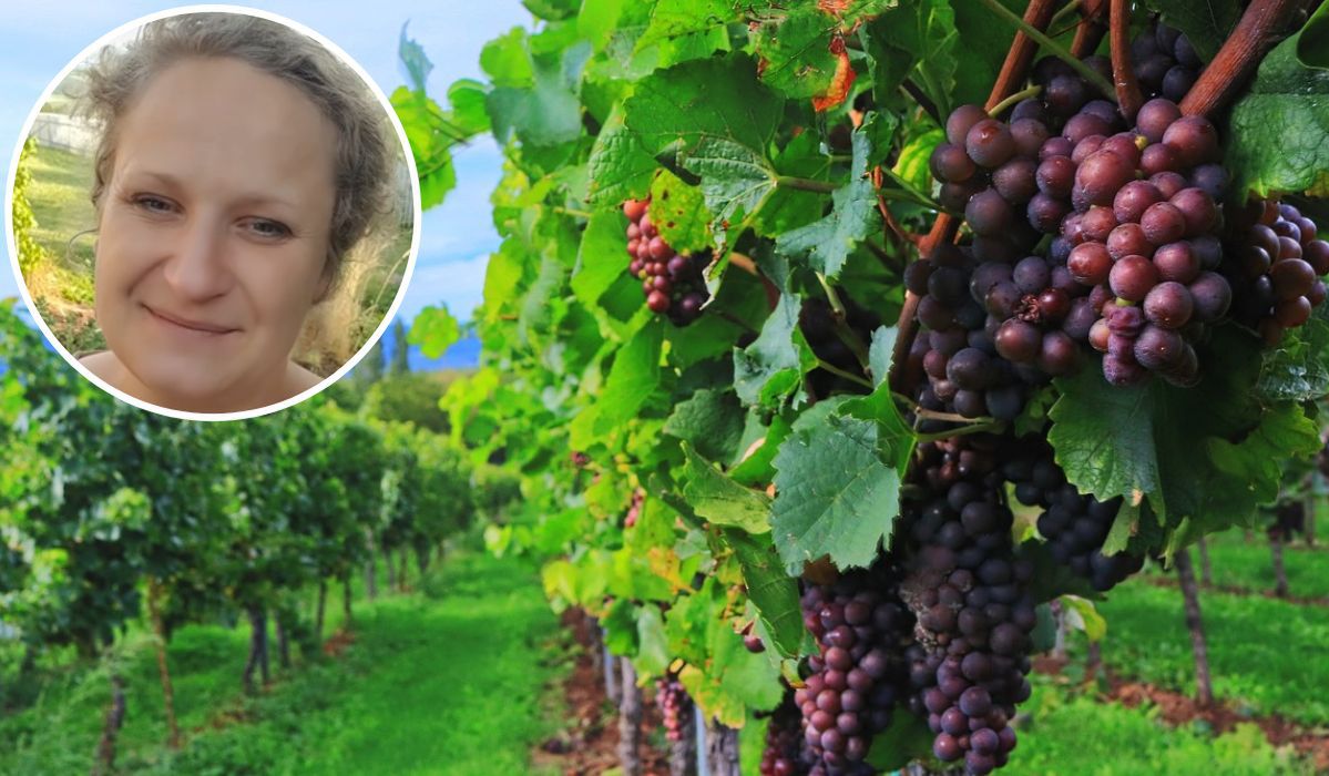 Zerwij liście winogron i zalej je winem. To najlepszy domowy eliksir młodości