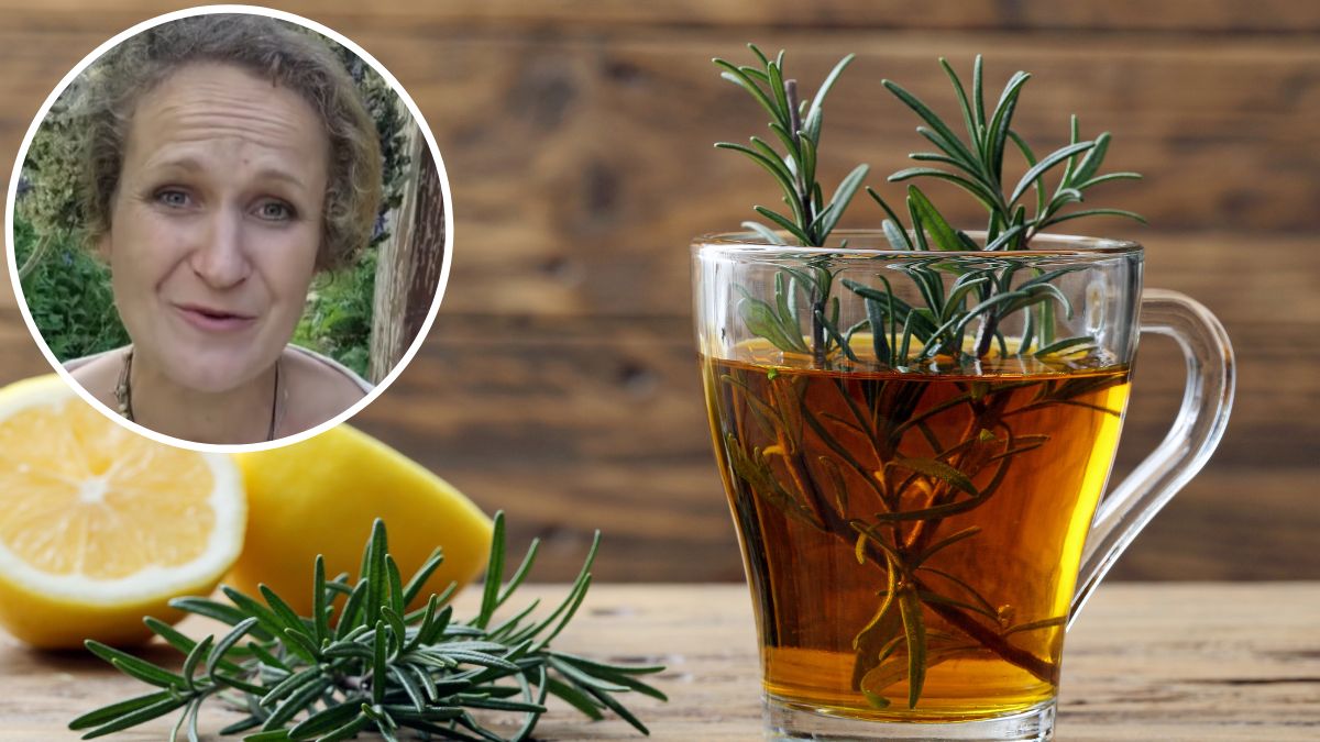 Ewa Kozioł poleca napar z rozmarynu. Fot. Facebook/Zielony Zagonek, AdobeStock